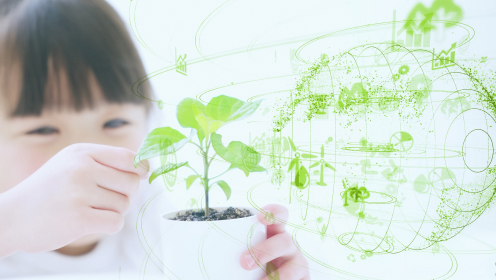 Sustainability TOP