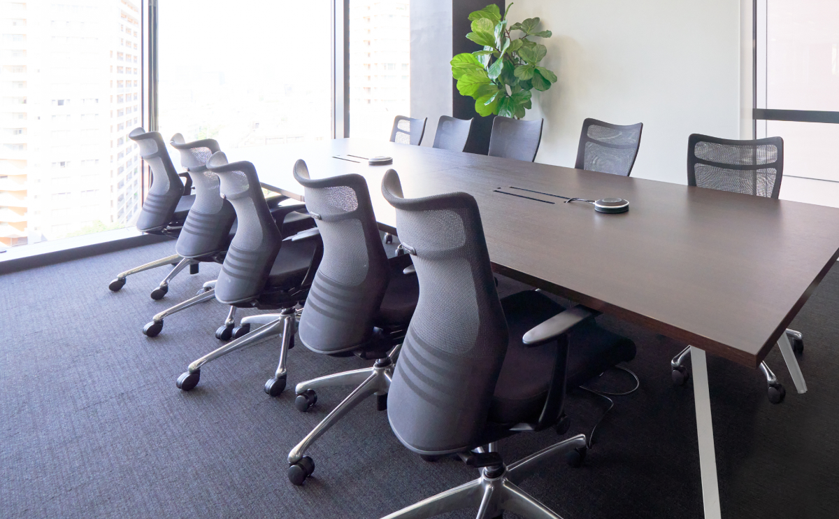 Introduction of Directors and Corporate Auditors
